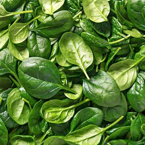 Saftig grüne Spinatblätter